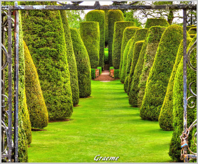 Featured Gallery