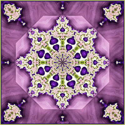 Featured Gallery