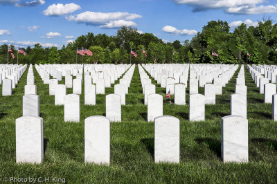 D-Day 75th Anniversary