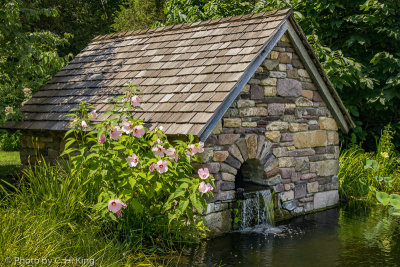 New Pond Spring House