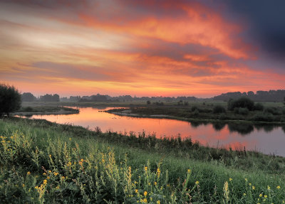 Langs de IJssel bij Welsum 3