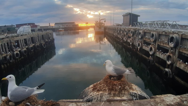 Finnmark 2022 Trip
