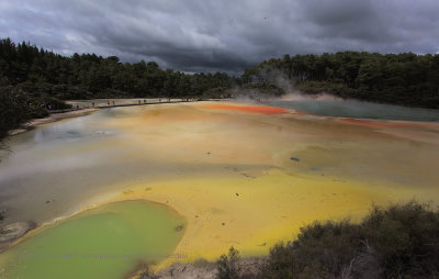 Rotorua