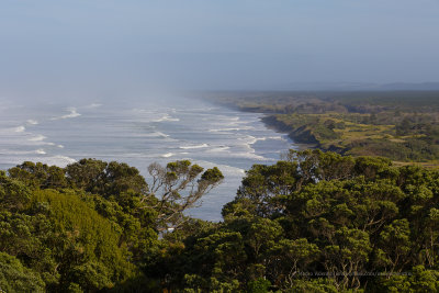 Muriwai Head