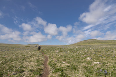 Grassland near Ridge Wall