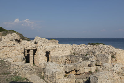 SAR20070.jpg