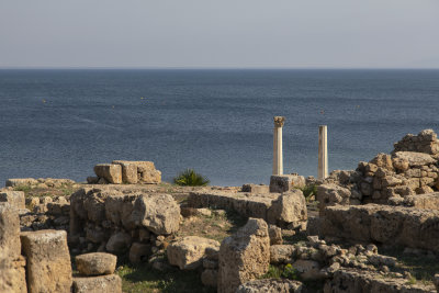 SAR20065.jpg