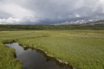 Potter Marsch, Anchorage