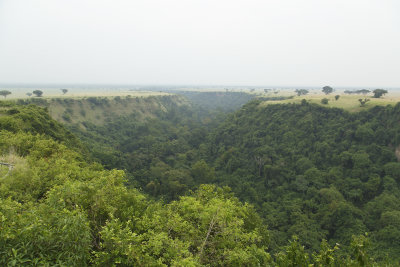 _GAL9157.jpg