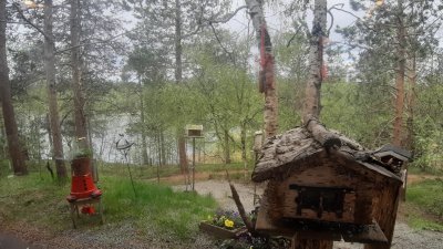 20220604_130422.jpg