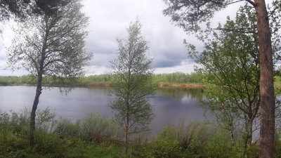 20220604_102125.jpg