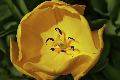 AM4I0957.jpg
