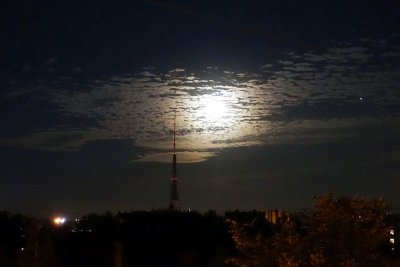03.08.2020