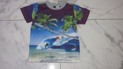 116 MOLO surf  shirt 14,00