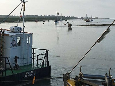 wells with incoming tide and horse sculpture