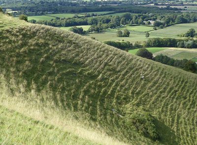 we chose a gradual (and fabulous) descent from the south downs