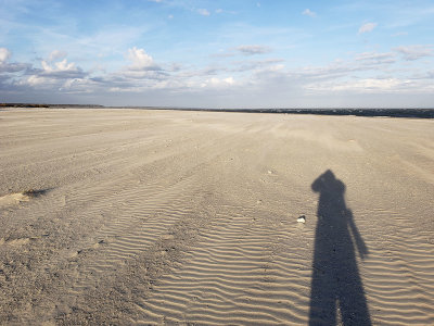 20190107_162639 IOP Late day long shadow.jpg