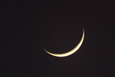 EE5A5656 Crescent moon.jpg