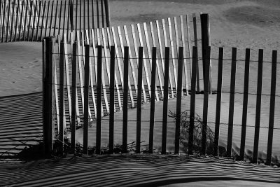 0T5A4435 Sand Fence.jpg