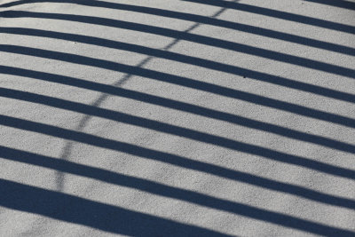0T5A4654 Fence shadows.jpg