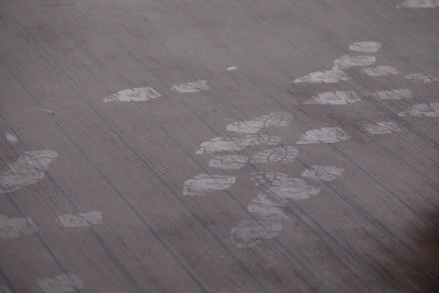 0T5A1391 Footprints in the dew.jpg