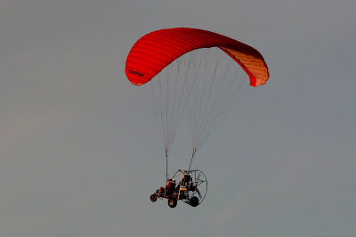 0T5A2505 Powered paraglider.jpg