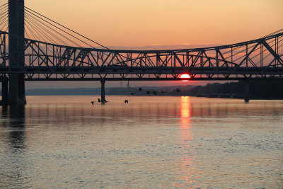 0T5A2640 Louisville sunrise with Canadian geese.jpg