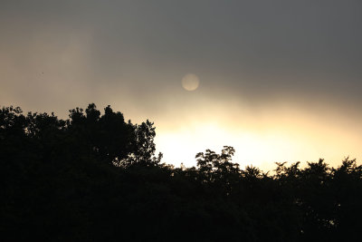 0T5A2968 Sun behind the fog.jpg
