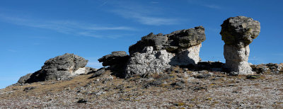 0T5A3811 RMNP Mushroom Rocks.jpg