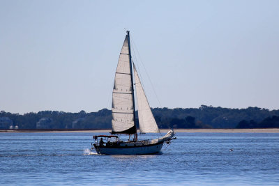 EE5A7907 Monday afternoon sailboat.jpg