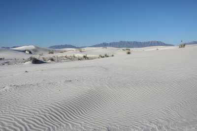 0T5A8441 Sand and mountains.jpg