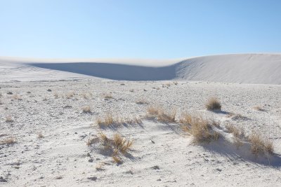 0T5A8453 Sinuous sand.jpg
