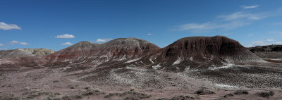 0T5A9254 Petrified Forest NP formations.jpg