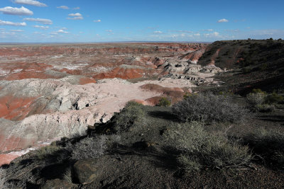 0T5A9407 Petrified Forest NP North side.jpg