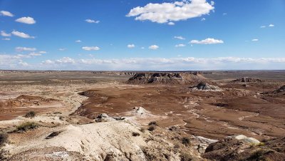 20190316_144801 Petrified Forest National Park.jpg