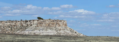 EE5A3638 Petrified Forest National Park.jpg