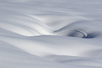 EE5A4326 Valles Caldera National Preserve sinuous snow.jpg