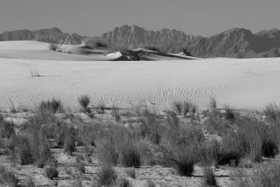EE5A8375 White Sands National Park b and w.jpg