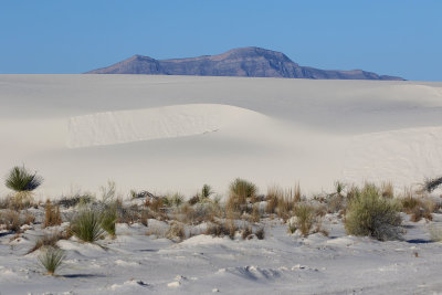 EE5A8378 White Sands National Park big dune.jpg