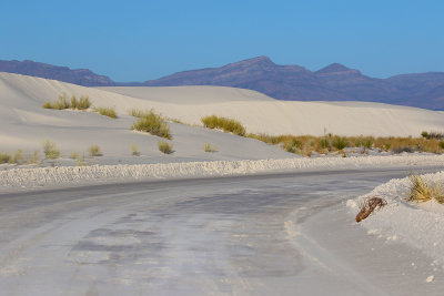 EE5A8380 White Sands National Park gypsum road.jpg