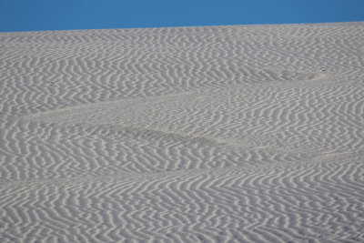 EE5A8381 White Sands National Park ripples.jpg