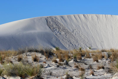 EE5A8385 White Sands National Park sand collapse.jpg