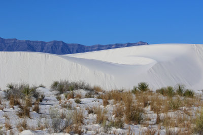 EE5A8561 White Sands National Park more big dunes.jpg