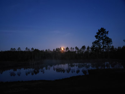 20210426_054440 Moon setting over Lazy B Ranch pond.jpg