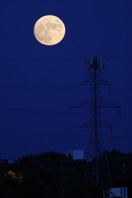 6P5A0287 Full moon rising.jpg