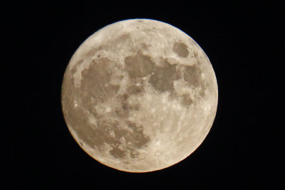 6P5A0360 Full moon Saturday night.jpg