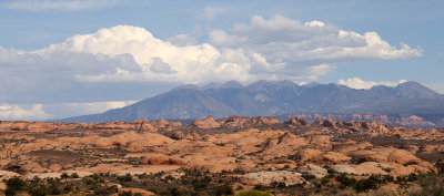 6P5A4878. Arches NP Petrified Dunes and La Sal Mtns.jpg