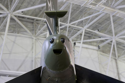 6P5A2245 Anthropomorphic tail end of jet.jpg