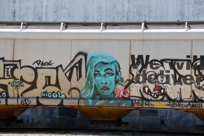 6P5A2492 Train grafitti.jpg