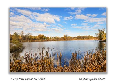 Early November at the Marsh